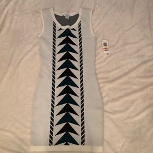 Printed Bodycon Sweater Dress